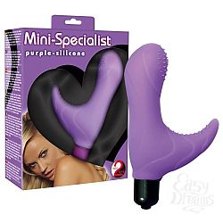   - Mini-Specialist