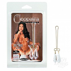      Cleopatra Crystal Clear 2625-00CDSE