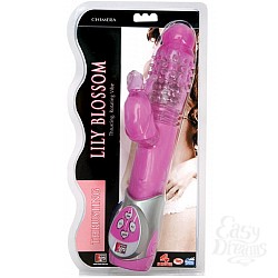     (Dream toys 20209)