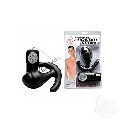     PRO 5.2 1484556 CD TS