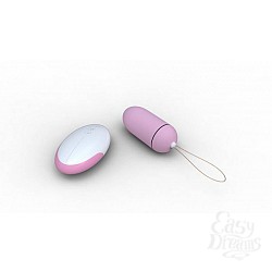   Remote Control Egg     8 