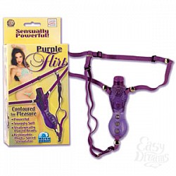    PURPLE FLIRT 0628-14 BX SE