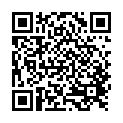    " Ceramix  11 (20 ), "  