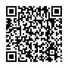    "    BDSM Light  810006ars"  