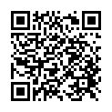    " Ceramix  11 (20 ), "  