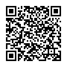    " Flash Blackberry ()"  
