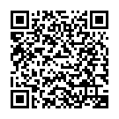    "  FIRST TIME MINI VIBE - 11,5 ."  