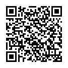    "   Solid Ball Gag  "  