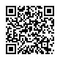    "   (ToyFa 113001)"  