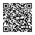    "   Nipple Clamps Silver Beaded   "  